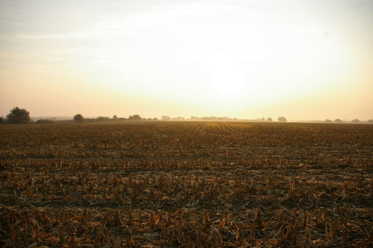 Lakeside Corner Plot